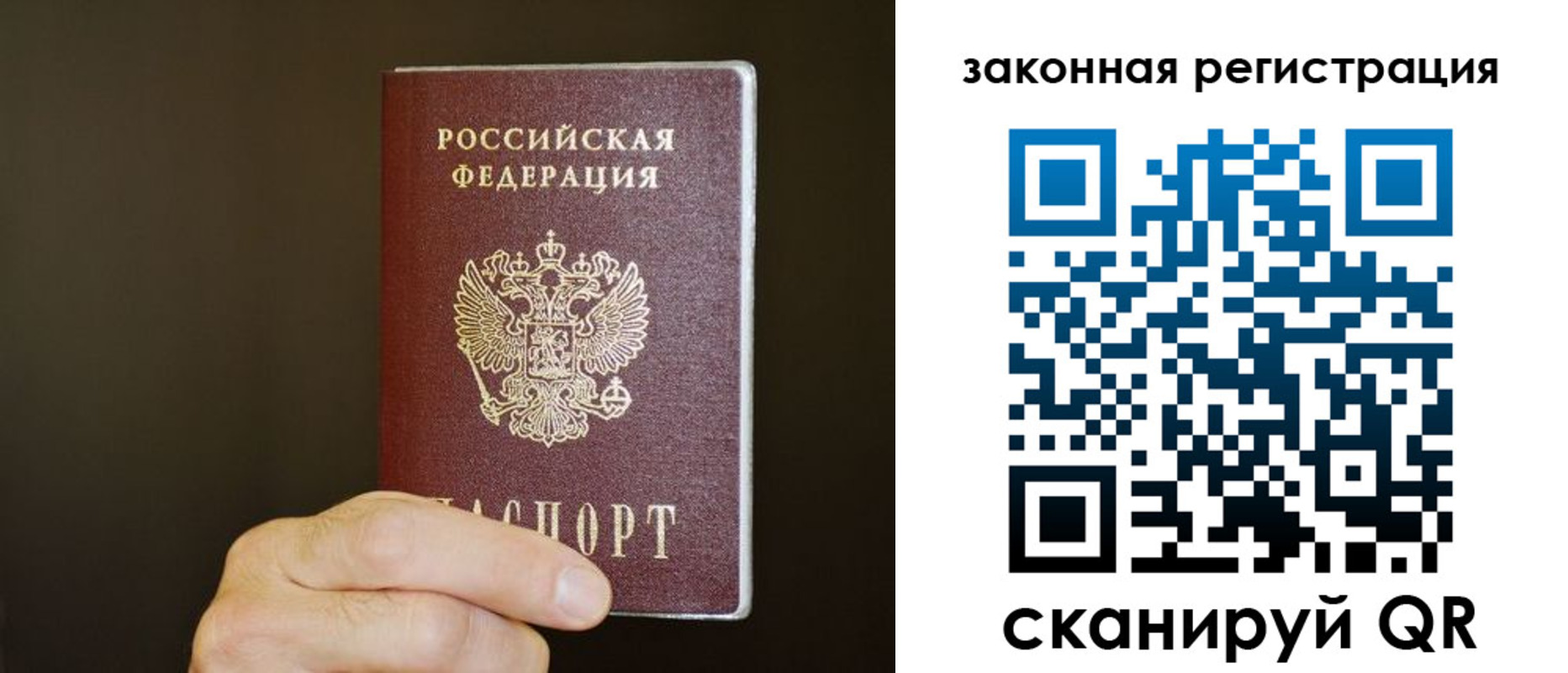 прописка регистрация в Мончегорске